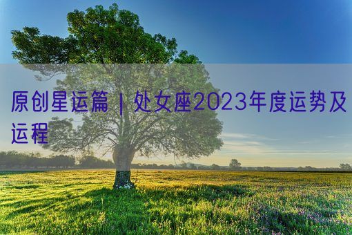 原创星运篇|处女座2023年度运势及运程(图1) 原创星运篇|处女座2023年度运势及运程(图1)