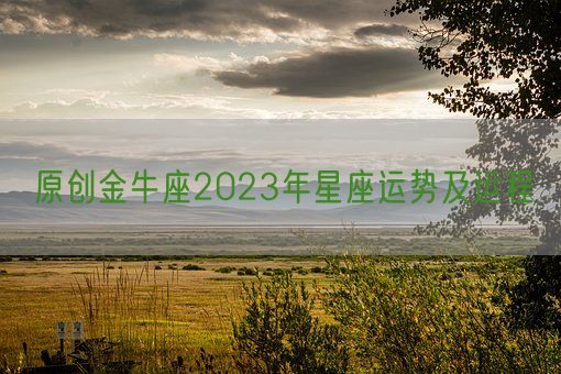 原创金牛座2023年星座运势及运程(图1)