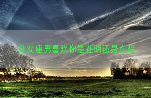 处女座男喜欢你是在明还是在暗(图1)