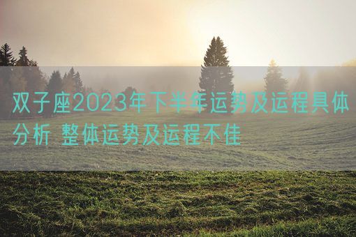 双子座2023年下半年运势及运程具体分析 整体运势及运程不佳(图1)