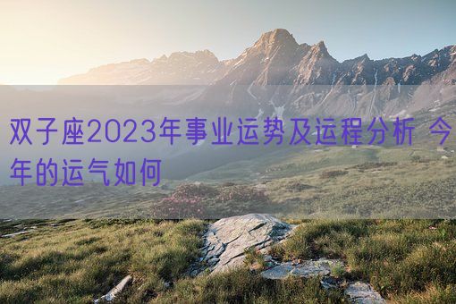 双子座2023年事业运势及运程分析 今年的运气如何(图1)