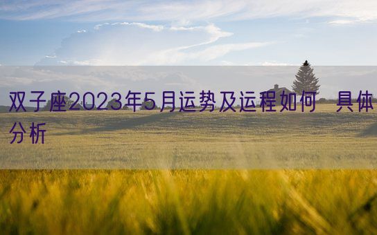 双子座2023年5月运势及运程如何  具体分析(图1)