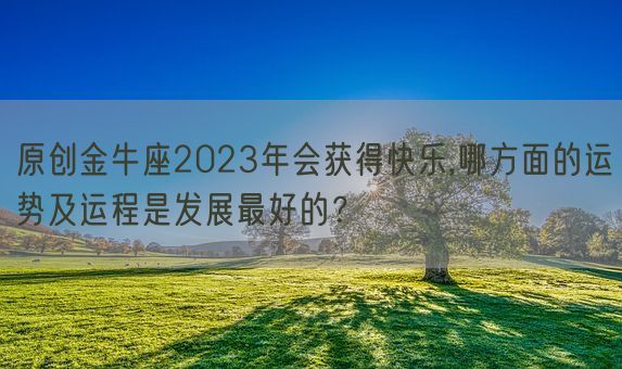 原创金牛座2023年会获得快乐,哪方面的运势及运程是发展最好的？(图1)