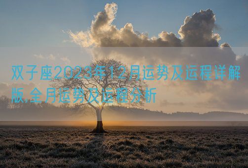 双子座2023年12月运势及运程详解版,全月运势及运程分析(图1)