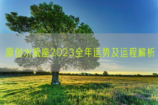 原创水瓶座2023全年运势及运程解析(图1)