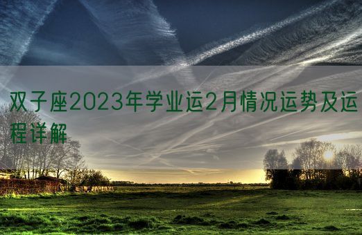 双子座2023年学业运2月情况运势及运程详解(图1)