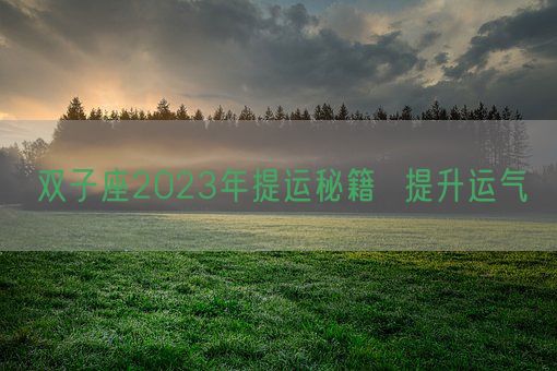 双子座2023年提运秘籍  提升运气(图1)