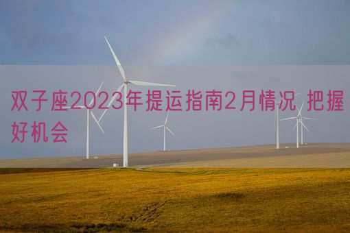 双子座2023年提运指南2月情况 把握好机会    (图1)