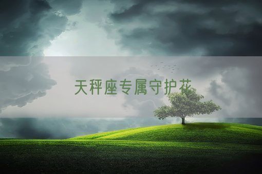 天秤座专属守护花(图1)