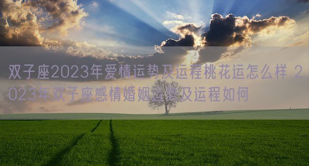 双子座2023年爱情运势及运程桃花运怎么样 2023年双子座感情婚姻运势及运程如何(图1)