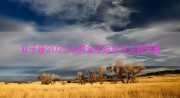 双子座2023年的全年运势及运程详解(图1)