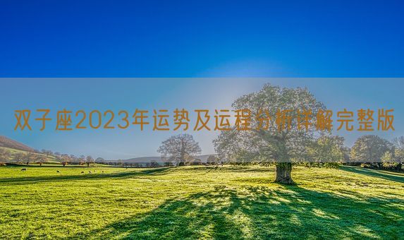 双子座2023年运势及运程分析详解完整版(图1)