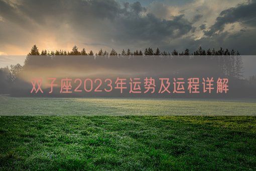 双子座2023年运势及运程详解(图1)