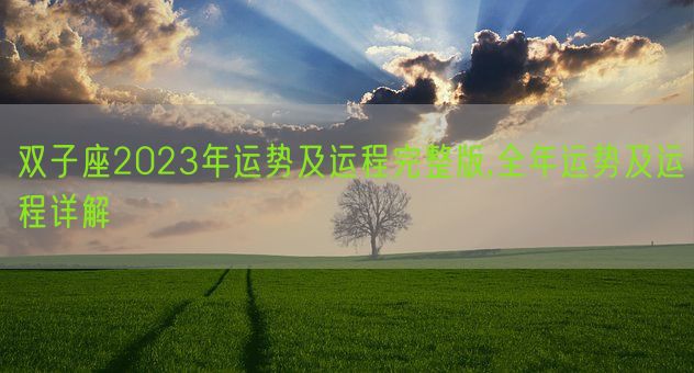 双子座2023年运势及运程完整版,全年运势及运程详解(图1)