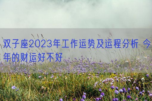 双子座2023年工作运势及运程分析 今年的财运好不好(图1)