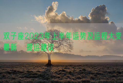 双子座2023年上半年运势及运程大变最新   提运建议(图1)