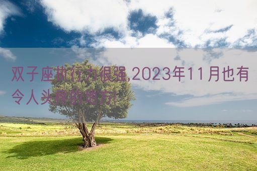 双子座执行力很强,2023年11月也有令人头疼的地方!(图1)