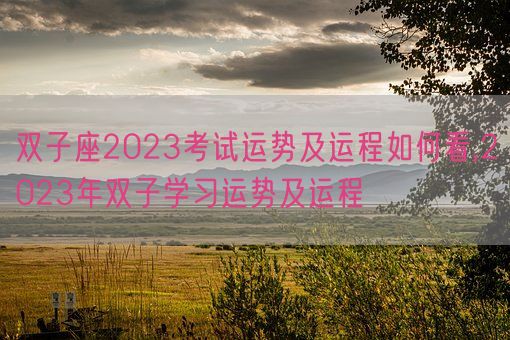 双子座2023考试运势及运程如何看,2023年双子学习运势及运程(图1)