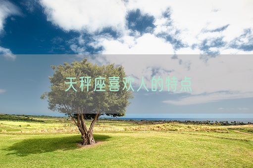 天秤座喜欢人的特点(图1)