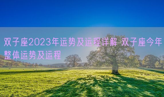 双子座2023年运势及运程详解 双子座今年整体运势及运程(图1)