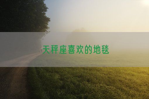 天秤座喜欢的地毯(图1)