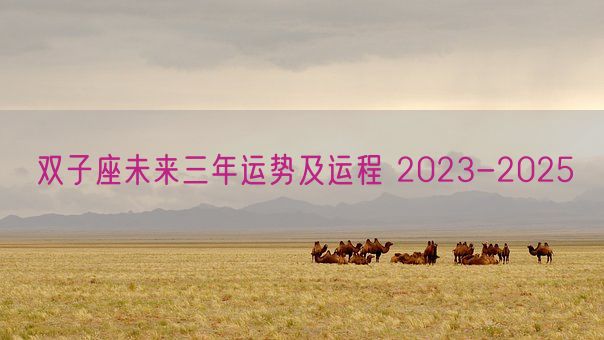 双子座未来三年运势及运程 2023-2025 (图1)