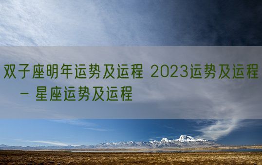 双子座明年运势及运程 2023运势及运程   – 星座运势及运程(图1)