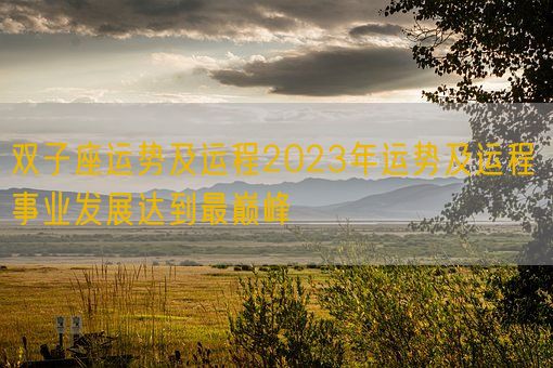 双子座运势及运程2023年运势及运程 事业发展达到最巅峰(图1)