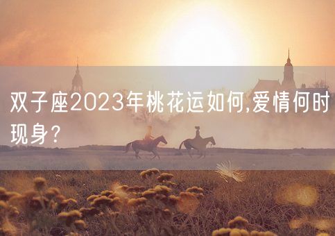 双子座2023年桃花运如何,爱情何时现身？(图1)