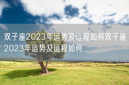 双子座2023年运势及运程如何双子座2023年运势及运程如何(图1)