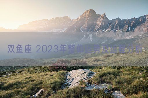 双鱼座 2023年整体运势及运程分析(图1)