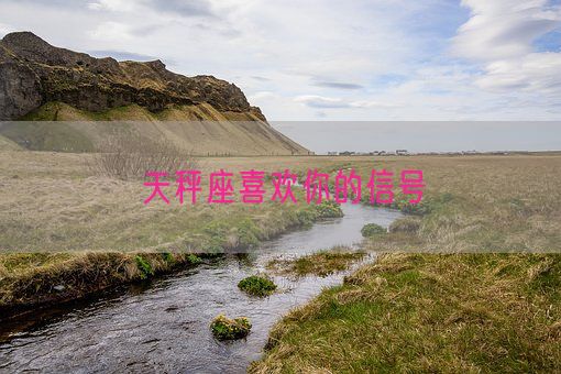 天秤座喜欢你的信号(图1)