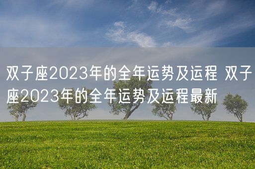 双子座2023年的全年运势及运程 双子座2023年的全年运势及运程最新(图1)