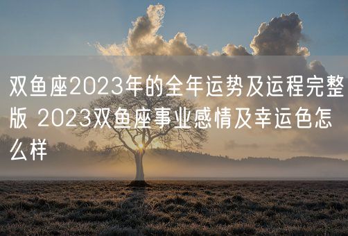 双鱼座2023年的全年运势及运程完整版 2023双鱼座事业感情及幸运色怎么样 (图1)