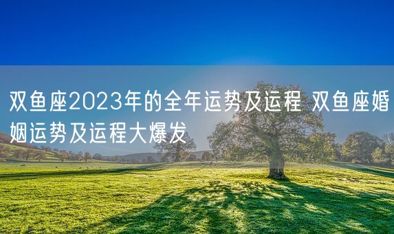 双鱼座2023年的全年运势及运程 双鱼座婚姻运势及运程大爆发 (图1)