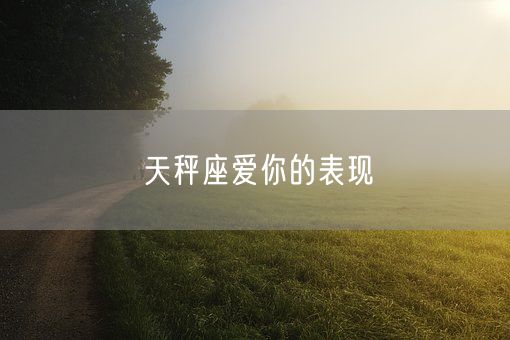 天秤座爱你的表现(图1)