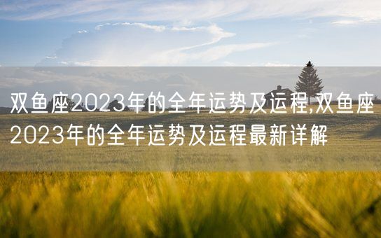 双鱼座2023年的全年运势及运程,双鱼座2023年的全年运势及运程最新详解(图1)