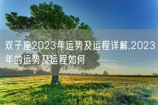 双子座2023年运势及运程详解,2023年的运势及运程如何(图1)