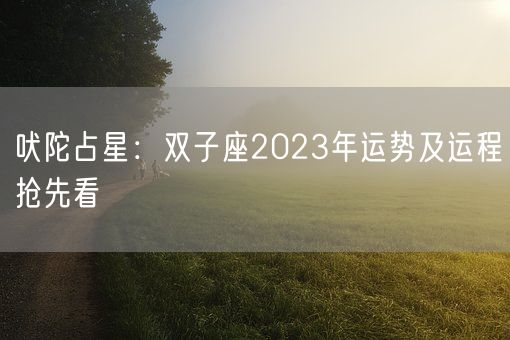 吠陀占星：双子座2023年运势及运程抢先看(图1)