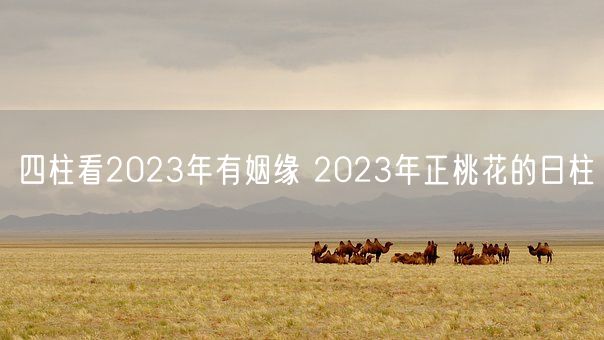 四柱看2023年有姻缘 2023年正桃花的日柱(图1)