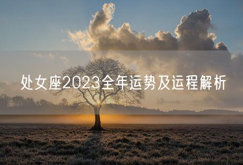 处女座2023全年运势及运程解析(图1)