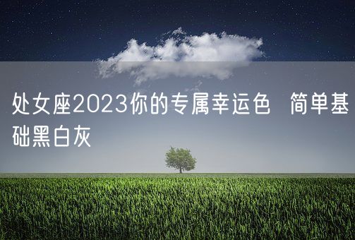 处女座2023你的专属幸运色  简单基础黑白灰(图1)