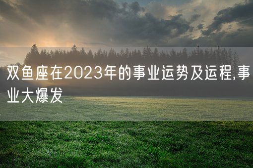 双鱼座在2023年的事业运势及运程,事业大爆发(图1)