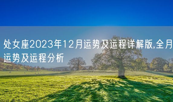 处女座2023年12月运势及运程详解版,全月运势及运程分析(图1)