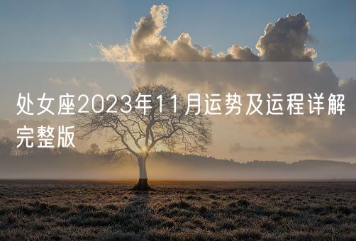 处女座2023年11月运势及运程详解完整版(图1)