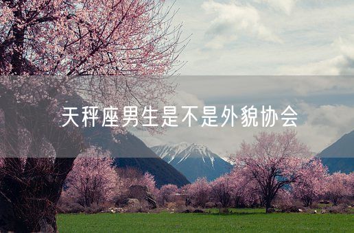 天秤座男生是不是外貌协会(图1)