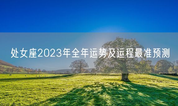 处女座2023年全年运势及运程最准预测(图1)