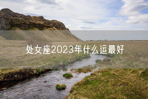 处女座2023年什么运最好(图1)