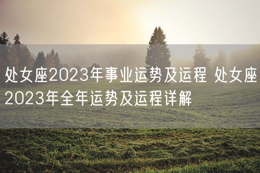 处女座2023年事业运势及运程 处女座2023年全年运势及运程详解(图1)