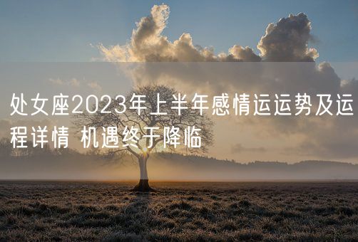 处女座2023年上半年感情运运势及运程详情 机遇终于降临(图1)